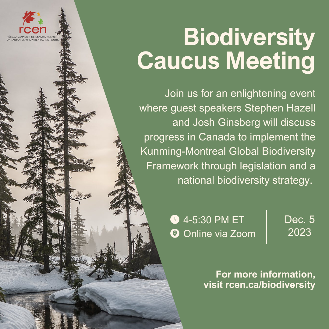 December%20Biodiversity%20Caucus%20Meeting%20(square).png