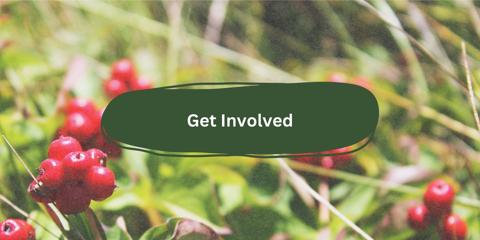 Get%20Involved.jpg