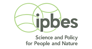 Logo-ipbes.png
