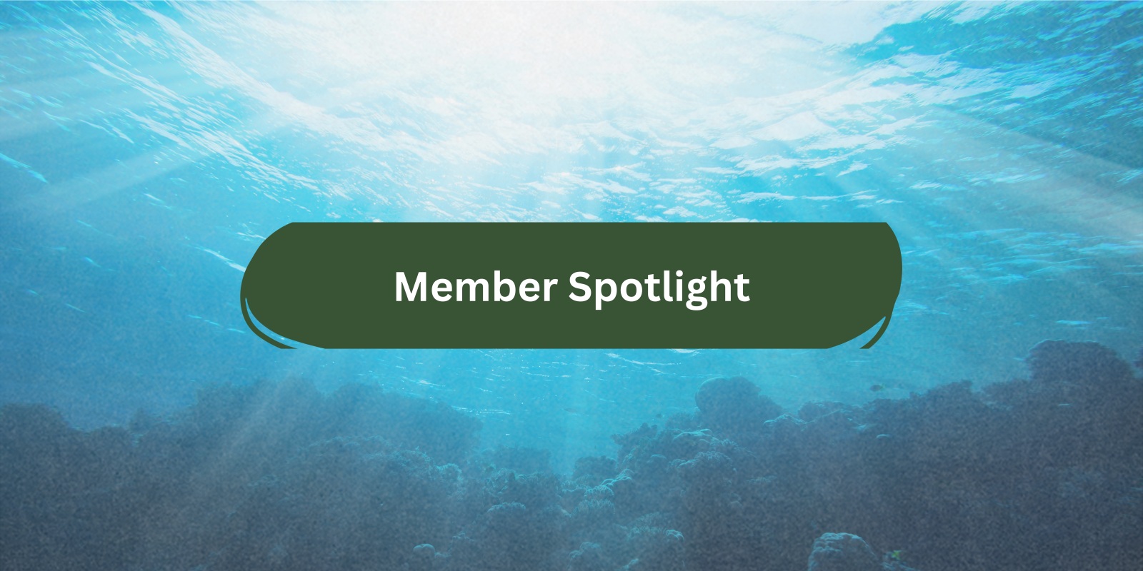Member%20Spotlight.jpg