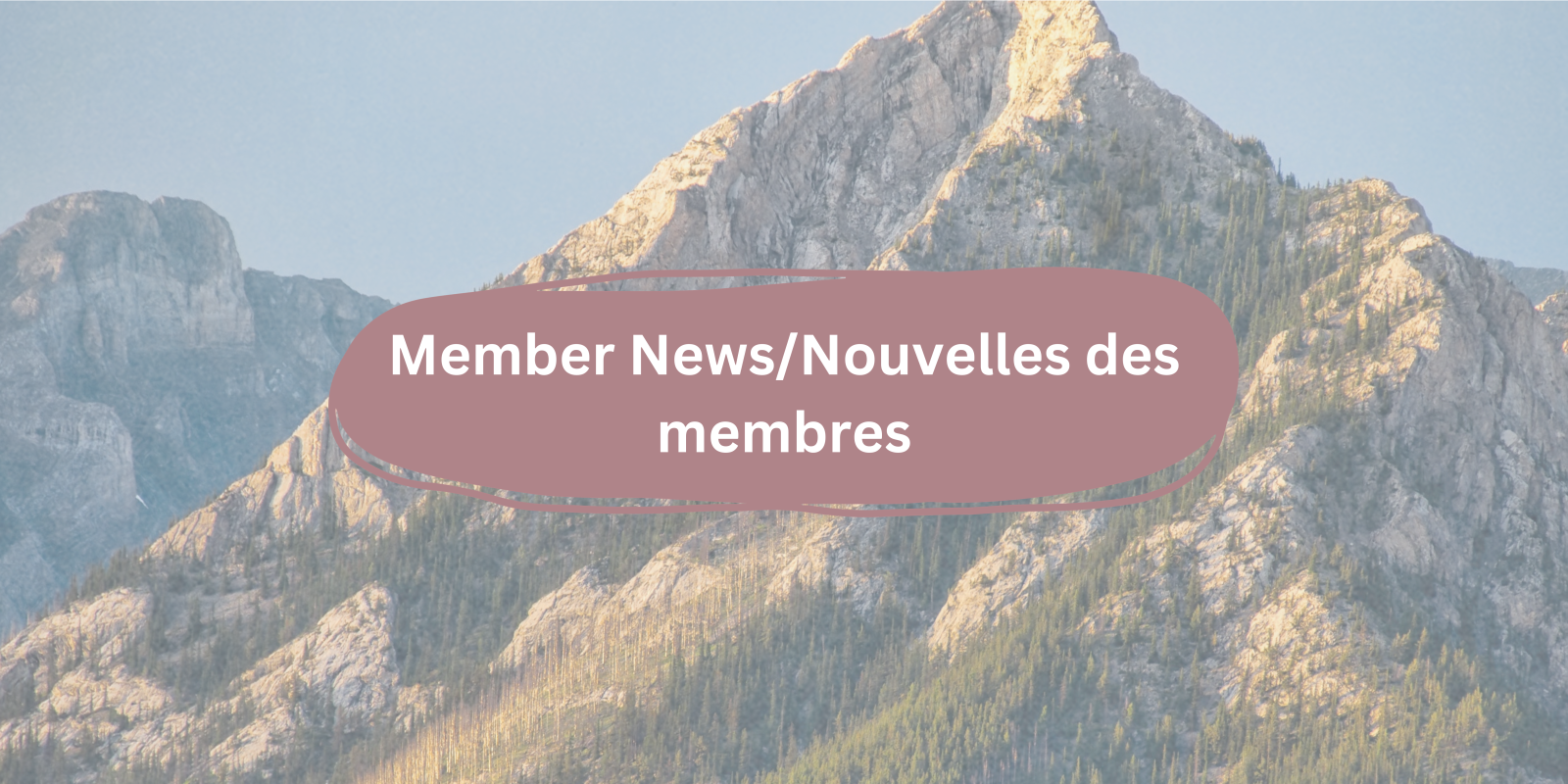 Newsletter%20Section%20Banners%20(1).png