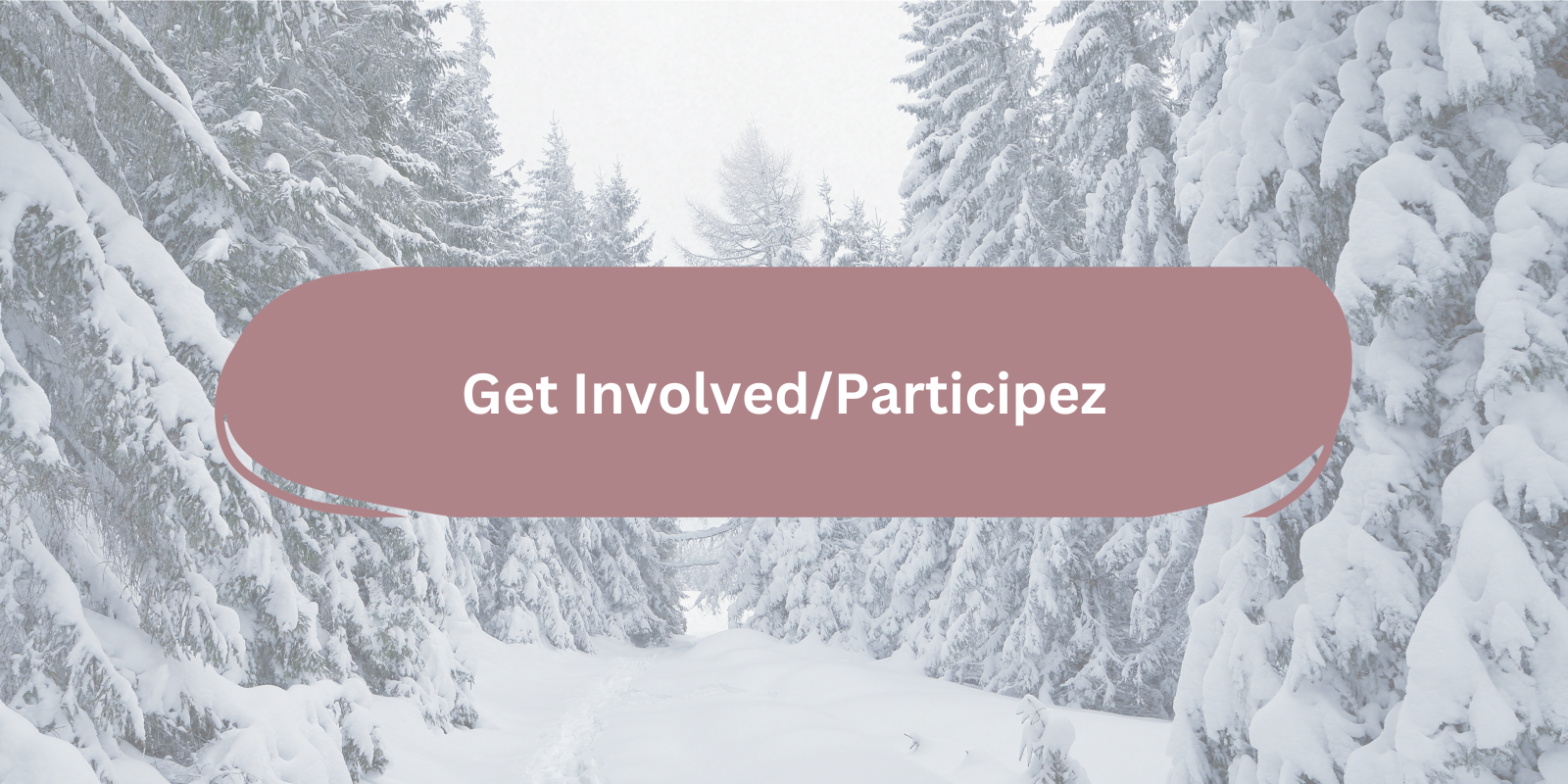 Newsletter%20Section%20Banners%20(3).png